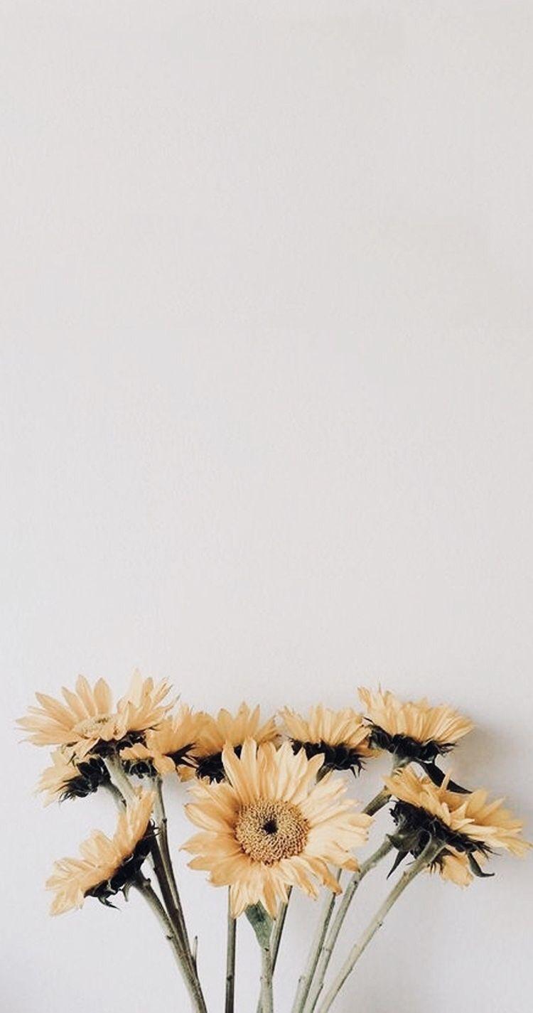 750x1425 Pinterest. Flowers Plants In 2019