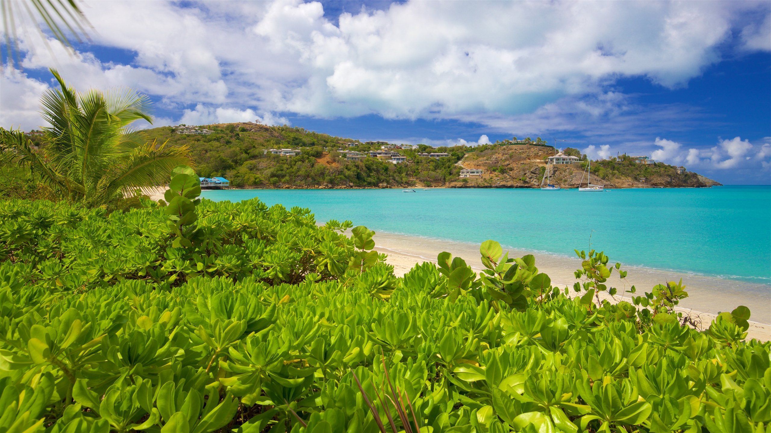 2560x1440 Antigua and Barbuda, Caribbean