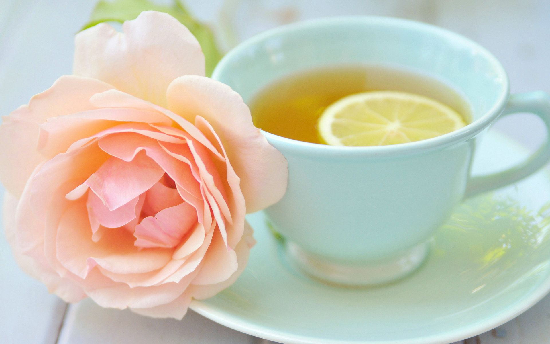 1920x1200 Tea Wallpaper