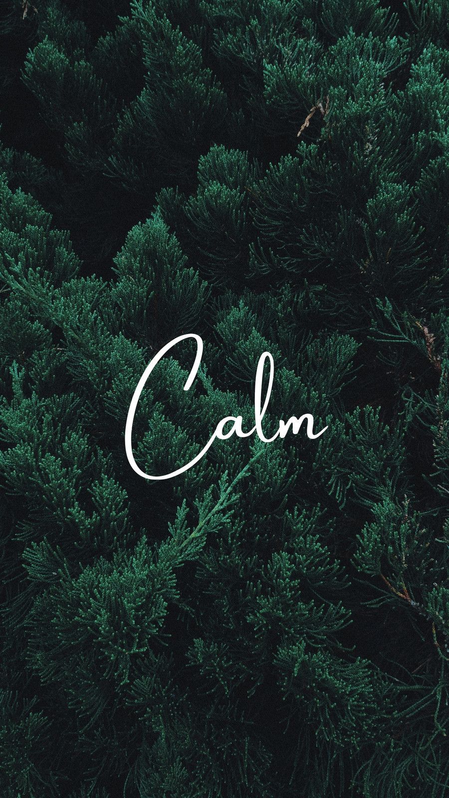900x1600 Free and customizable wallpaper dark
