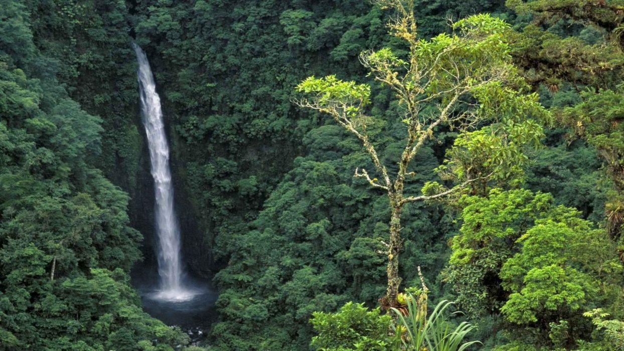 Costa Rica jungle waterfall forest mountains HD wallpaper  Peakpx