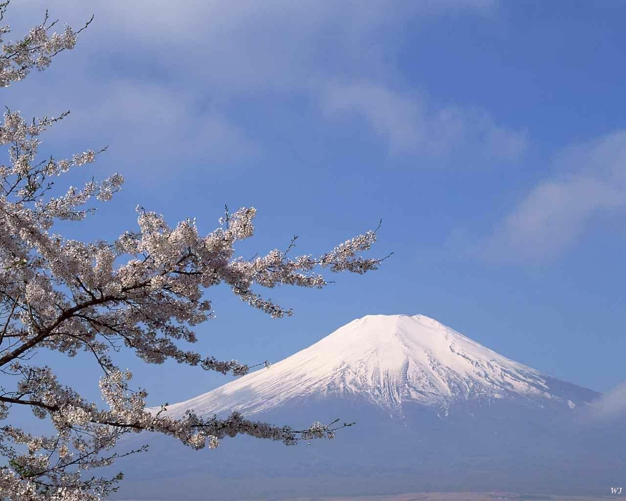 1280x1024 Mount Fuji Japan With Blossoms