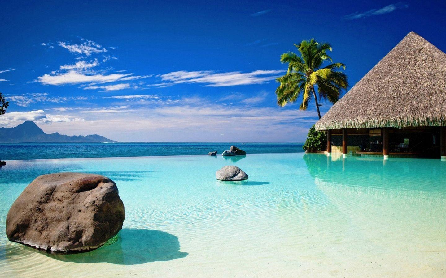 1440x900 Popular Tropical Wallpaper