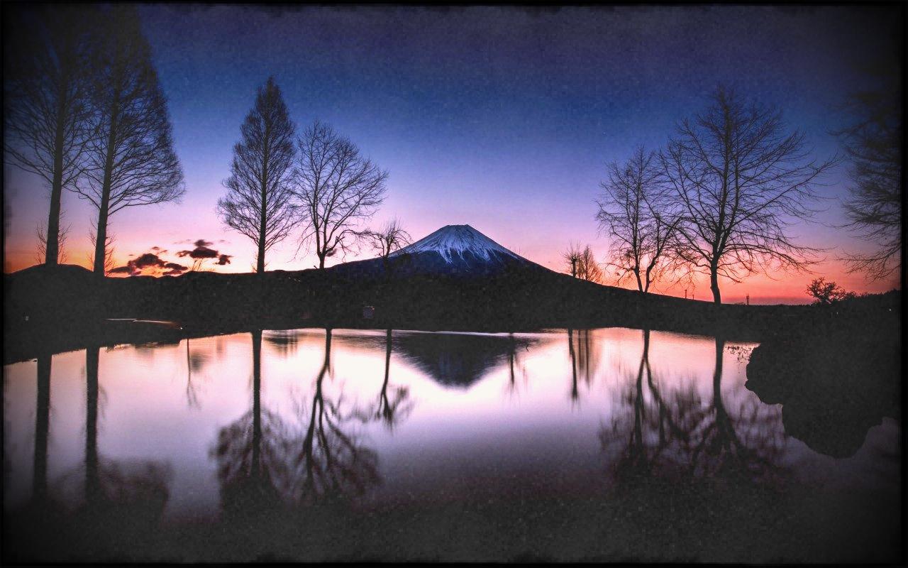 1280x800 Fuji Tag Wallpaper Mountain Japan Snow Blossoms Flowers Home Gardens