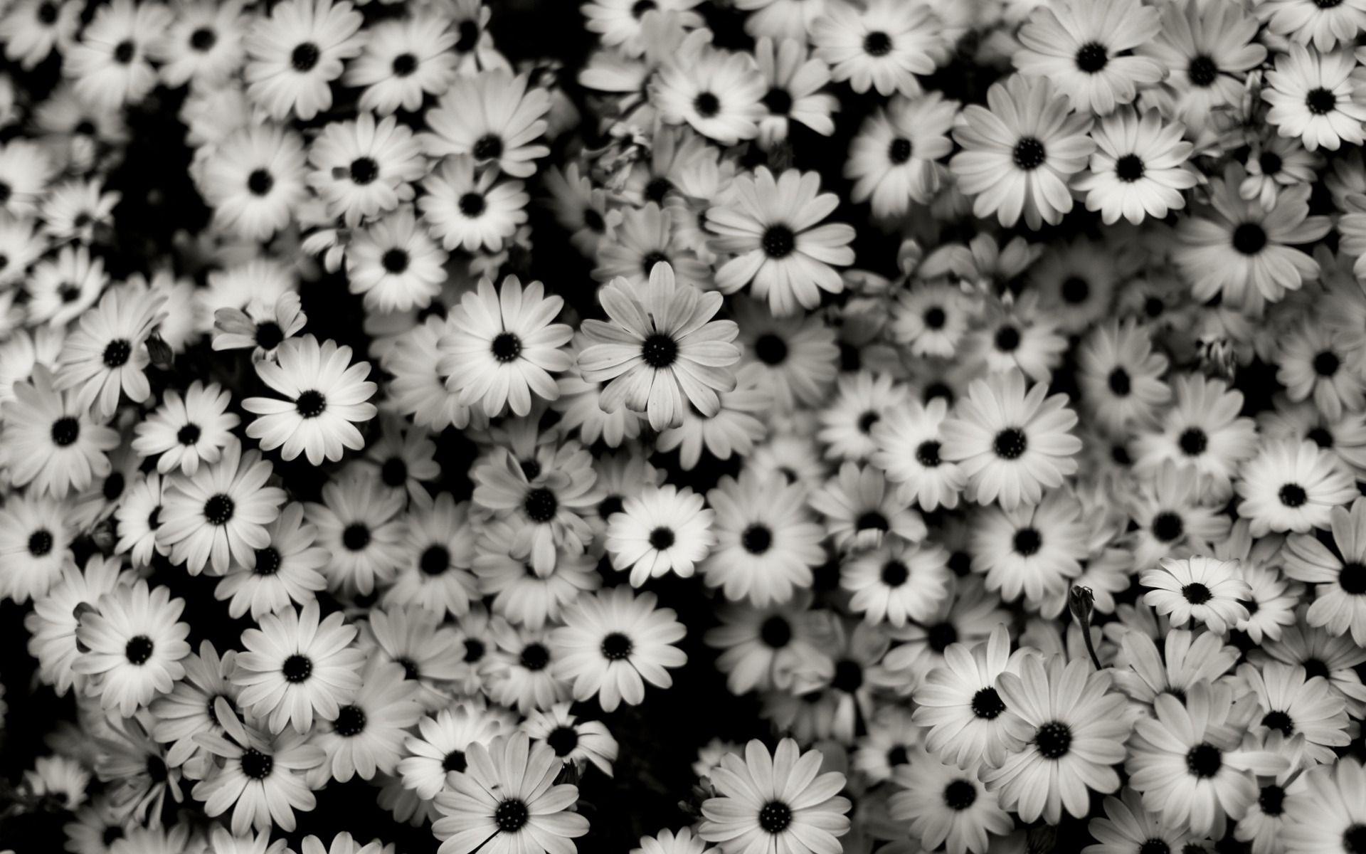 1920x1200 black and white aesthetic HD