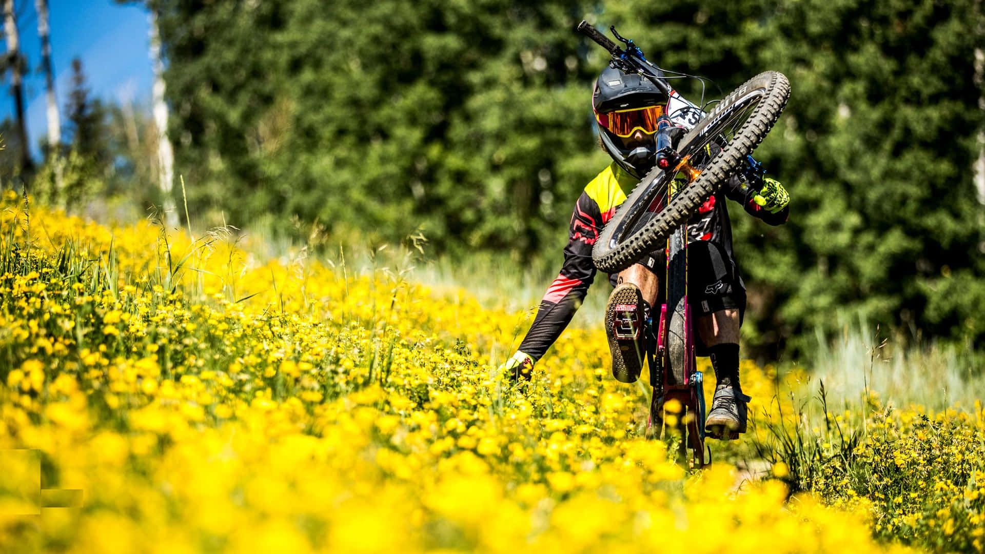 1920x1080 Download Mountain biker conquering an
