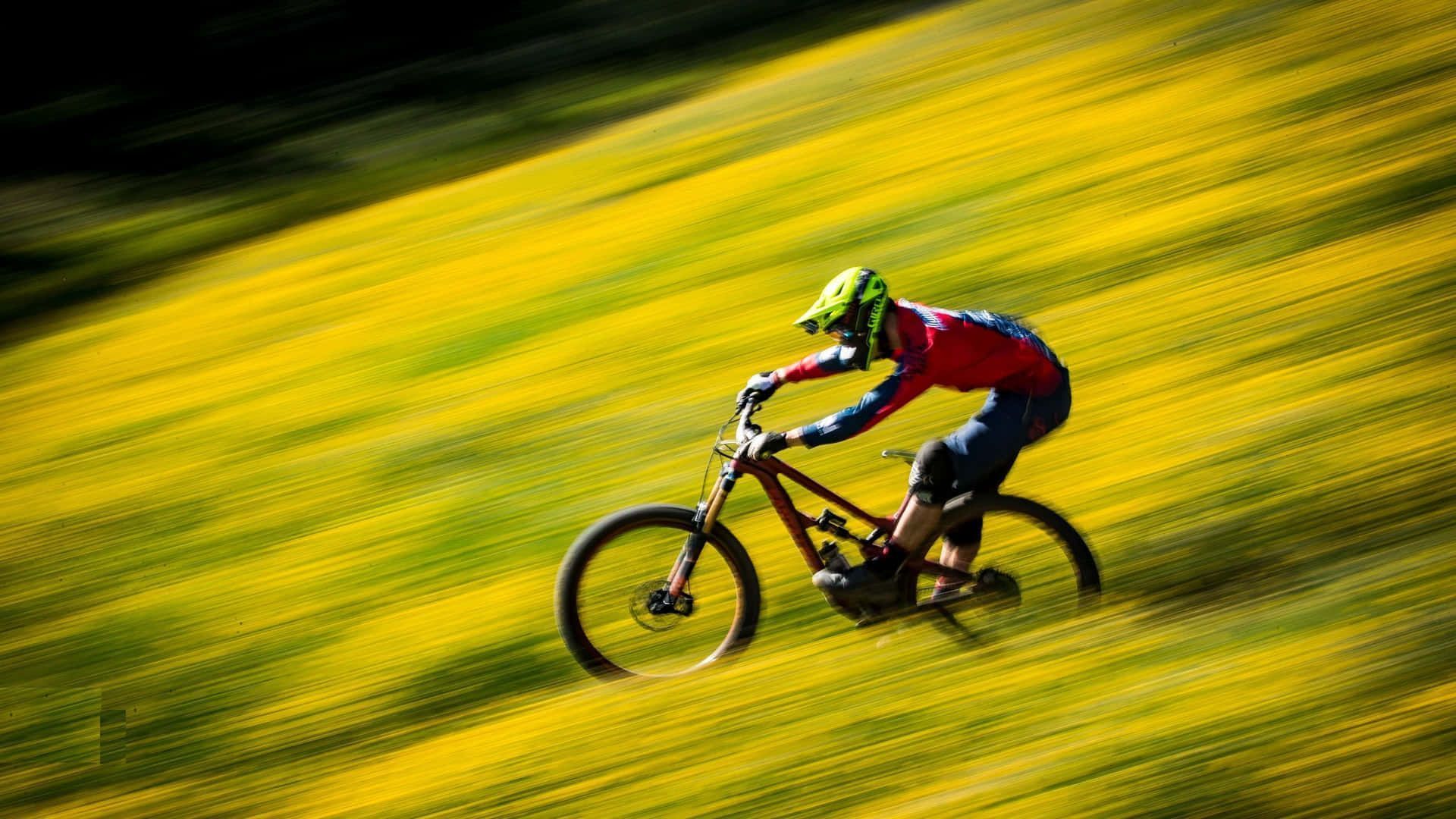 1920x1080 Download Mountain Bike Adventure