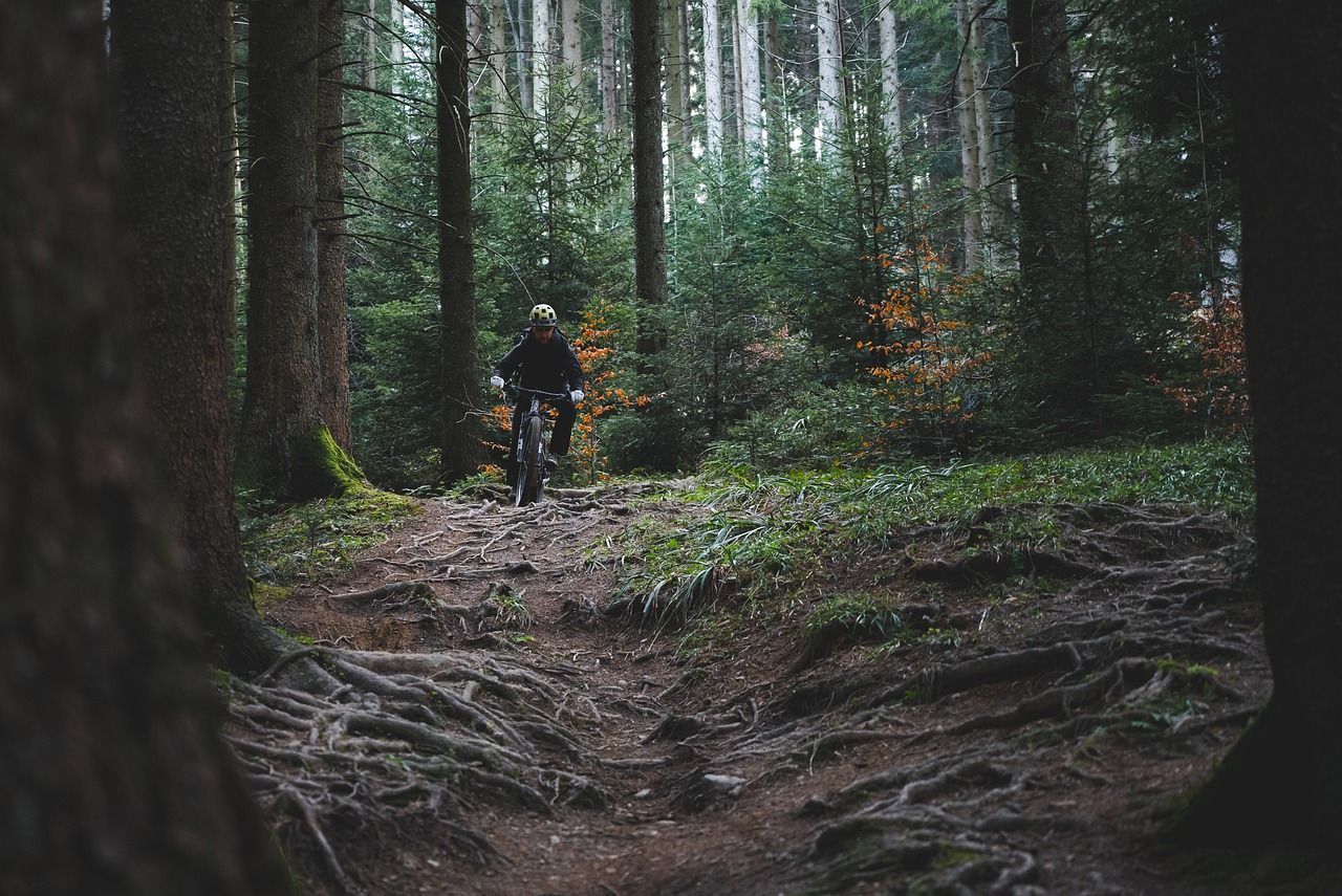1280x855 Inaugural Enduro mountain bike event