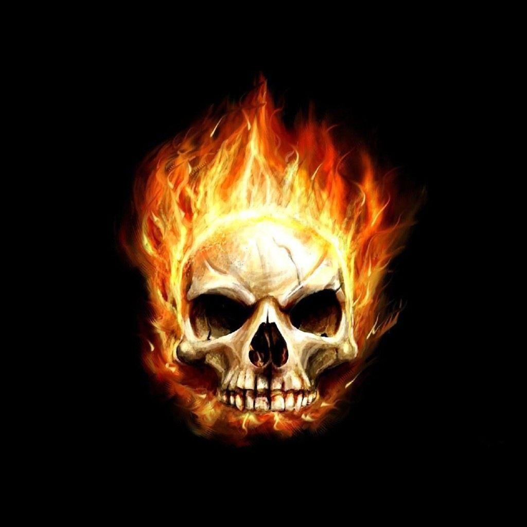 1024x1024 Fire HD Desktop Skull Wallpaper /fire Hd