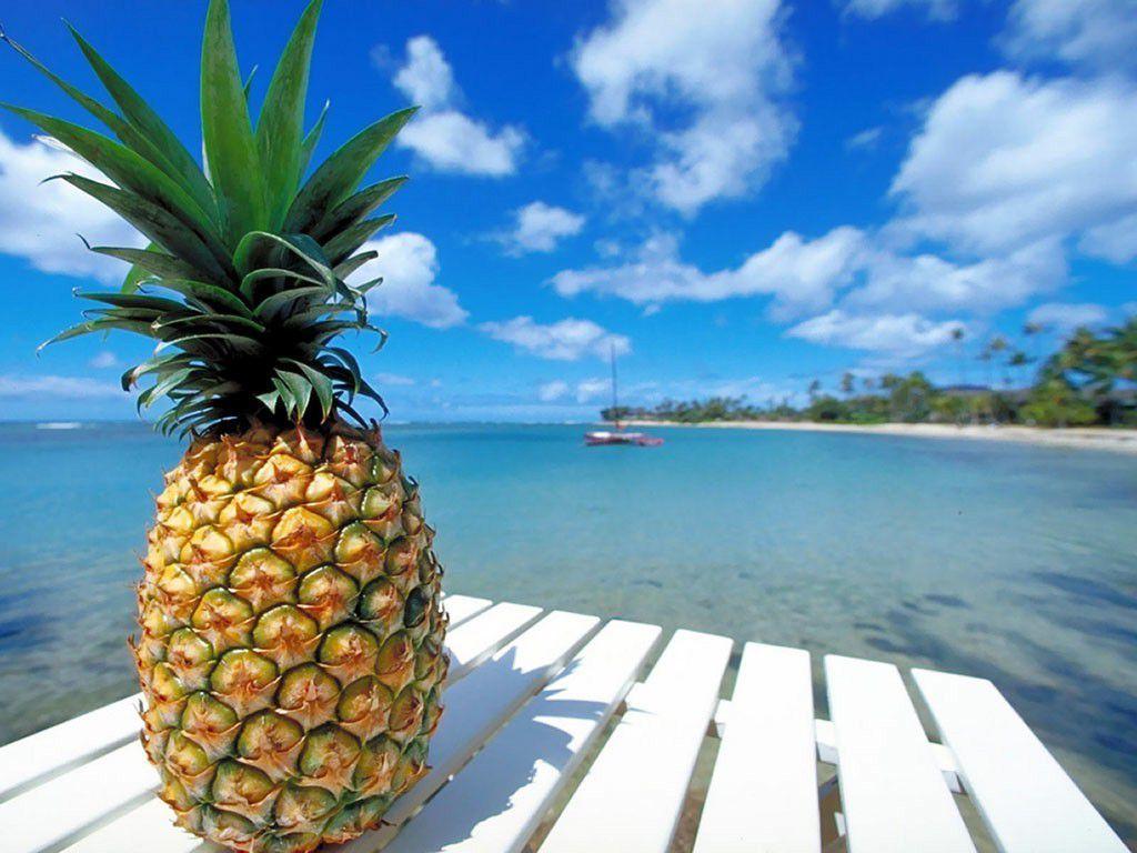 Pineapple Beach Wallpapers - Top Free Pineapple Beach Backgrounds