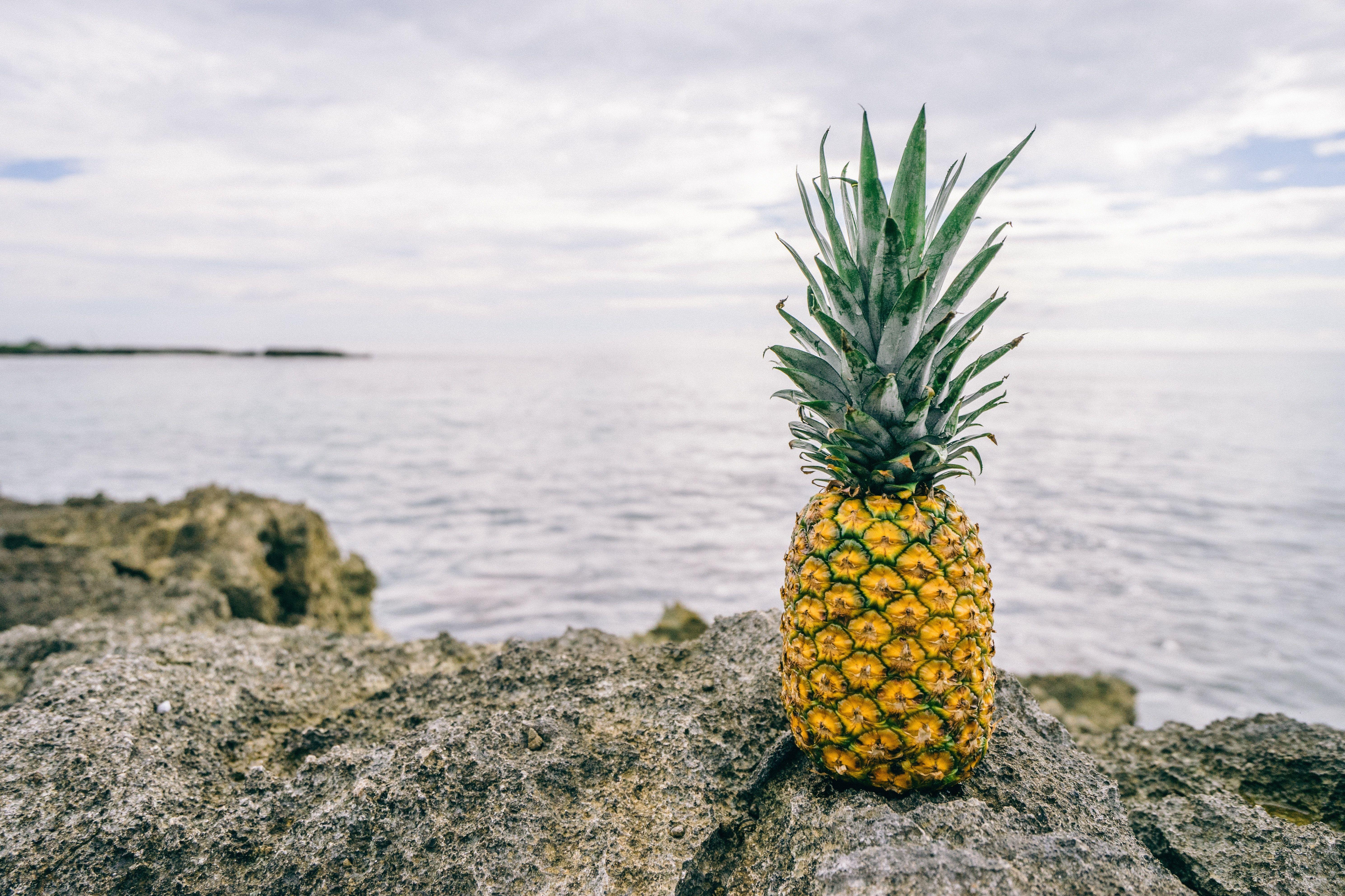 Pineapple Beach Wallpapers - Top Free Pineapple Beach Backgrounds - WallpaperAccess