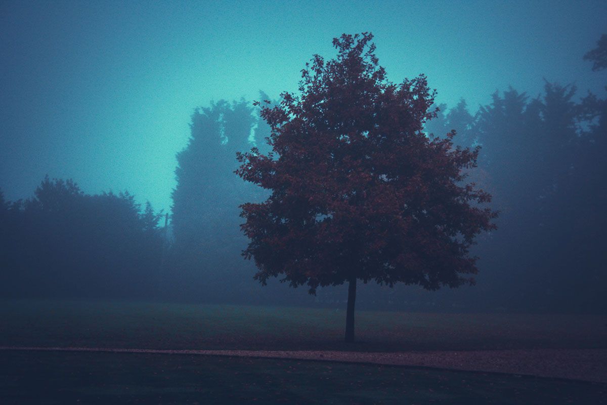 1200x800 Blue Fog - Behance