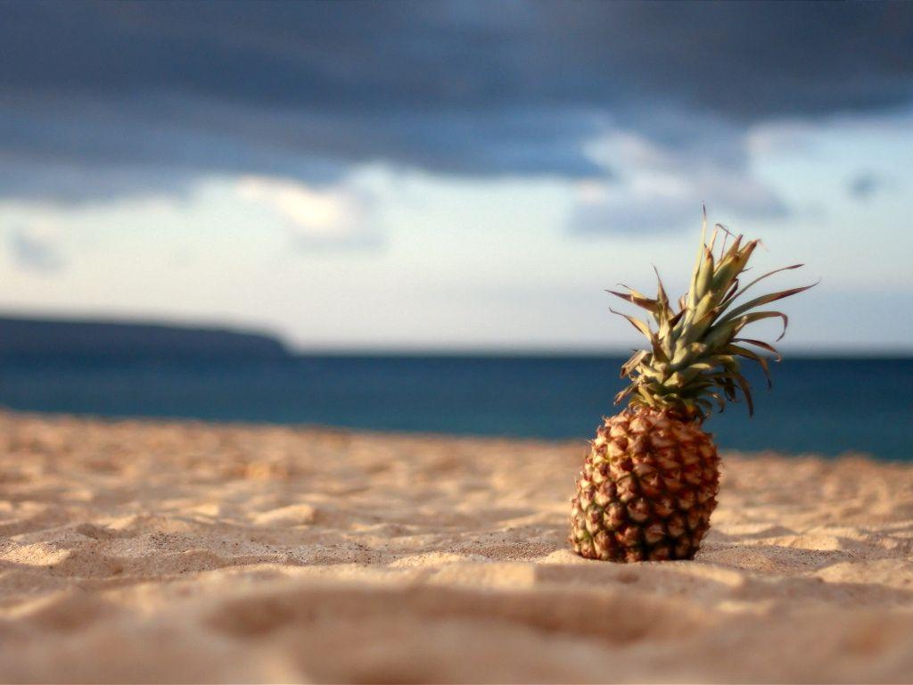 1024x768 Sandals Resort Wallpaper