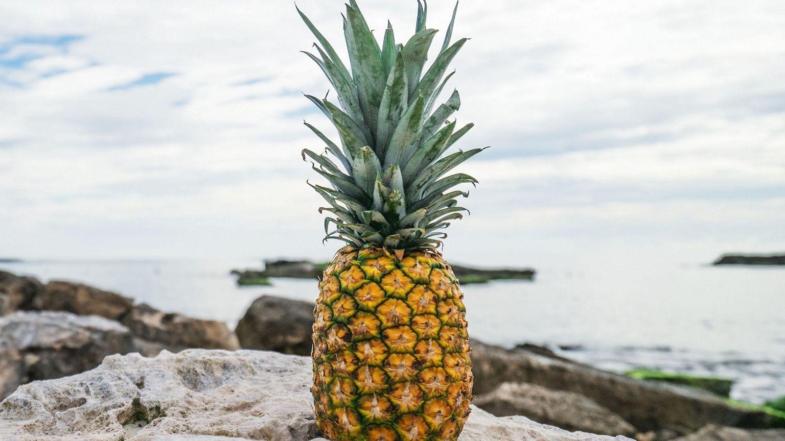 1536x864 Pineapple Rocks Beach - [1536x864]
