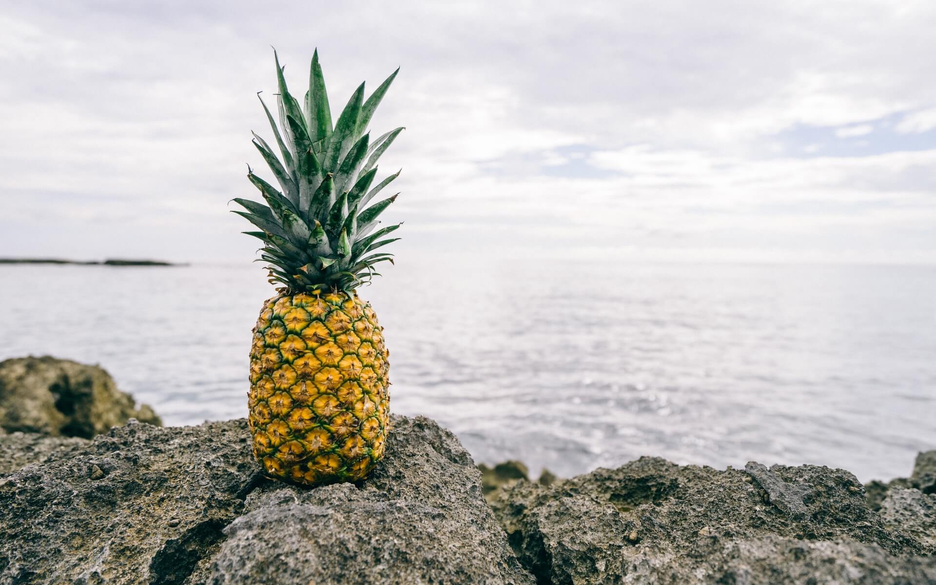1920x1200 Pineapple HD Desktop Wallpaper 66331 1920x1200px