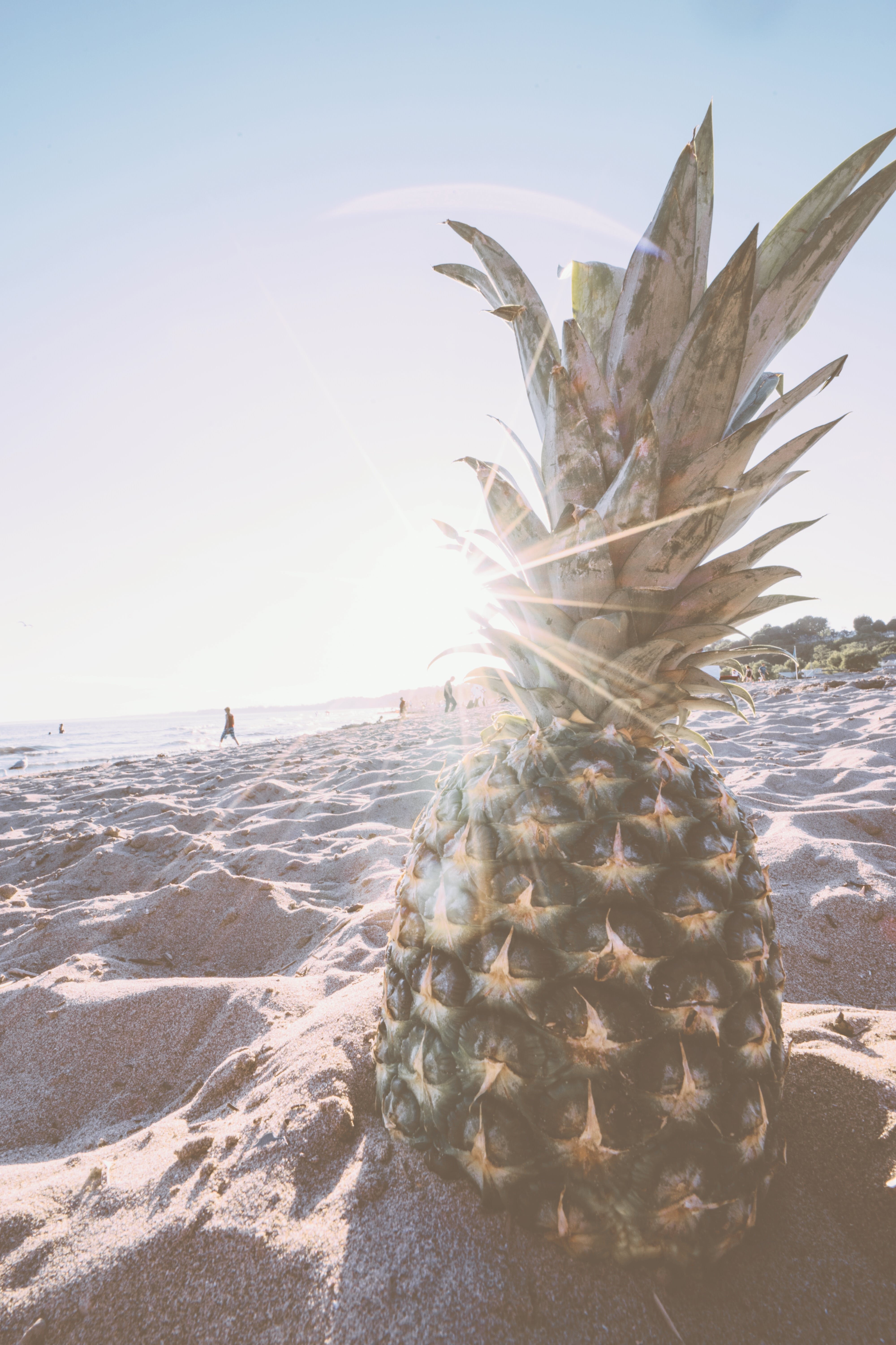 pineapples at the beach desktop wallpaper for mac