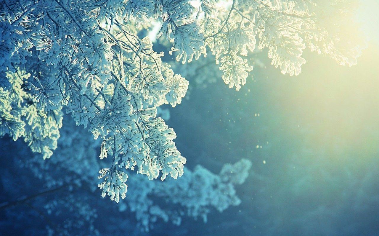 Frost iPhone 5s Wallpaper  Scenery pictures Iphone 5s wallpaper  Winter wallpaper