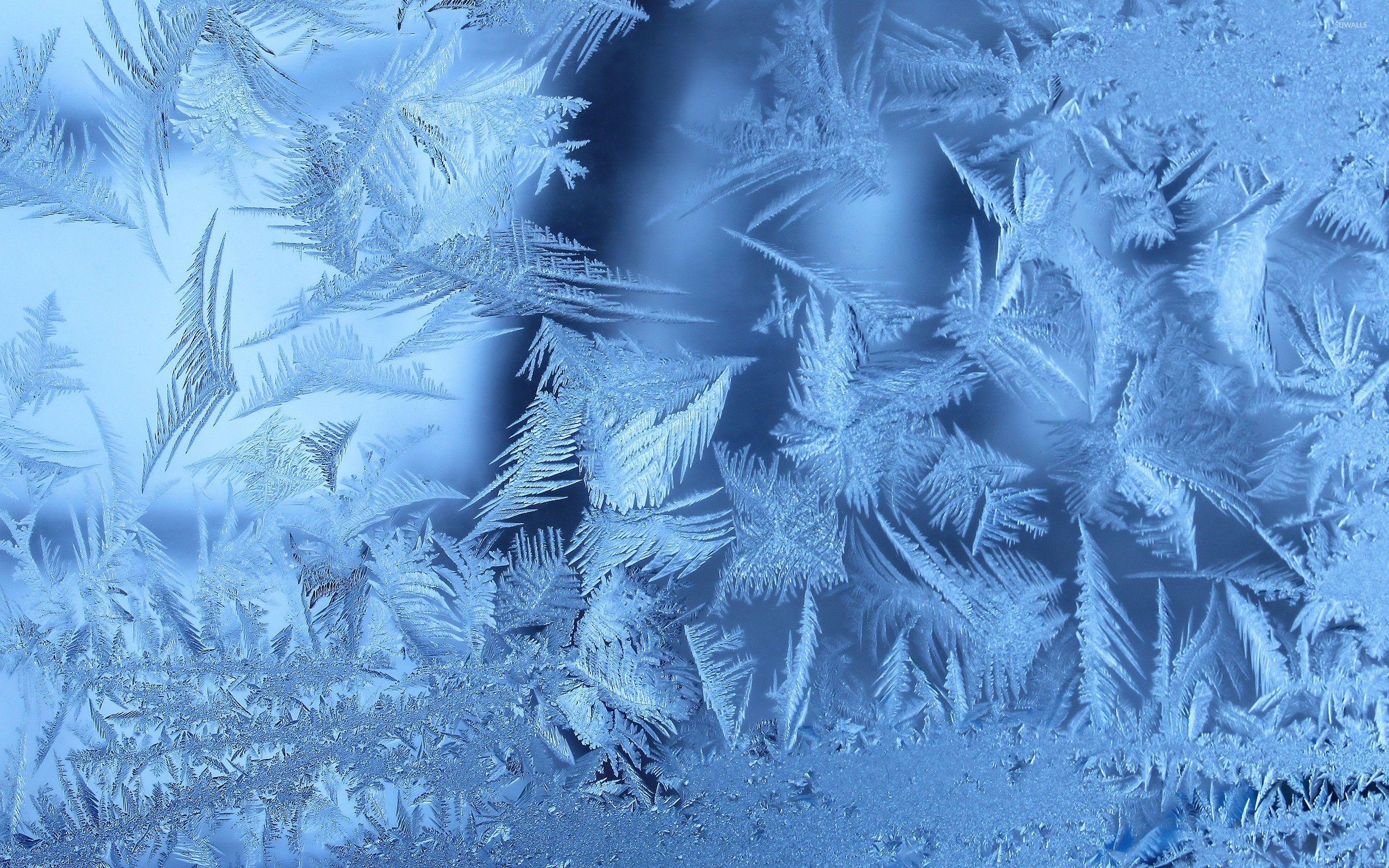 Winter Wallpaper Images - Free Download on Freepik