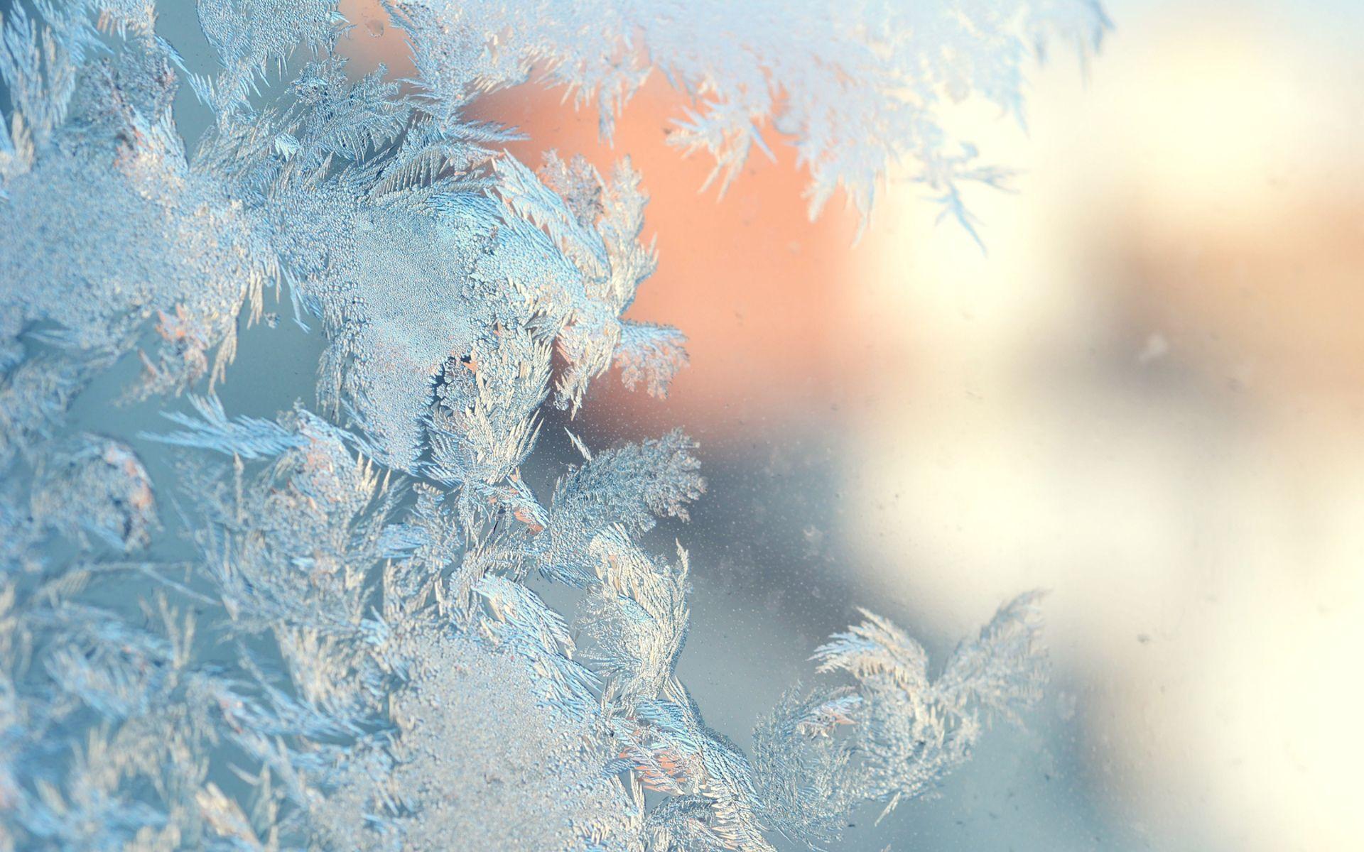 1920x1200 Mood Nature Frost Wallpaper 43949 1920x1200px