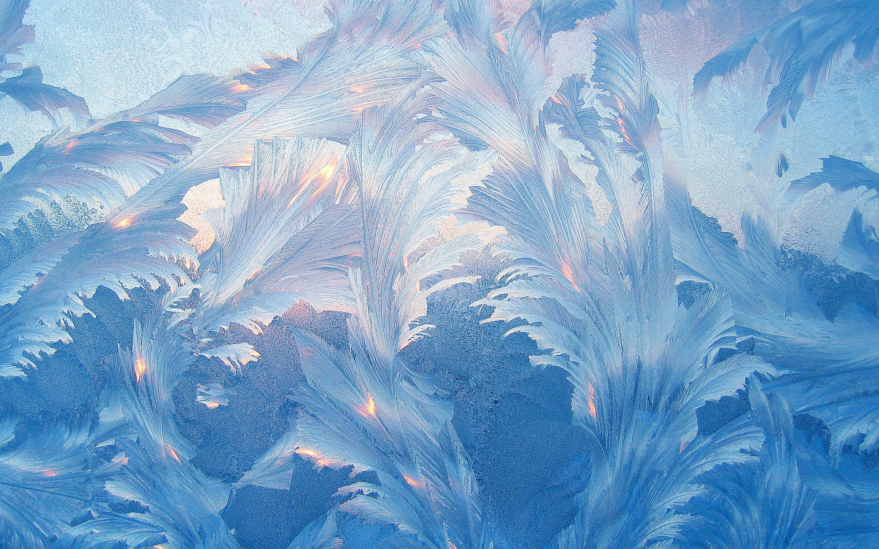 3072x1920 Floral Frost Wallpaper