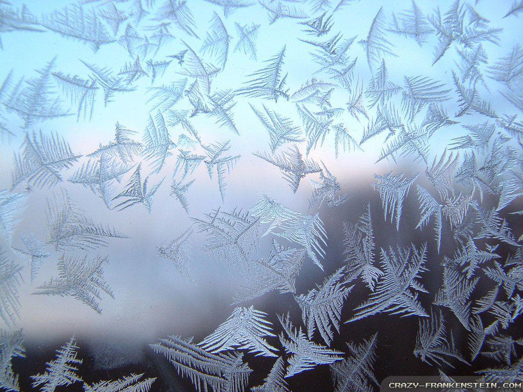 Frost Wallpapers - Top Free Frost Backgrounds - WallpaperAccess