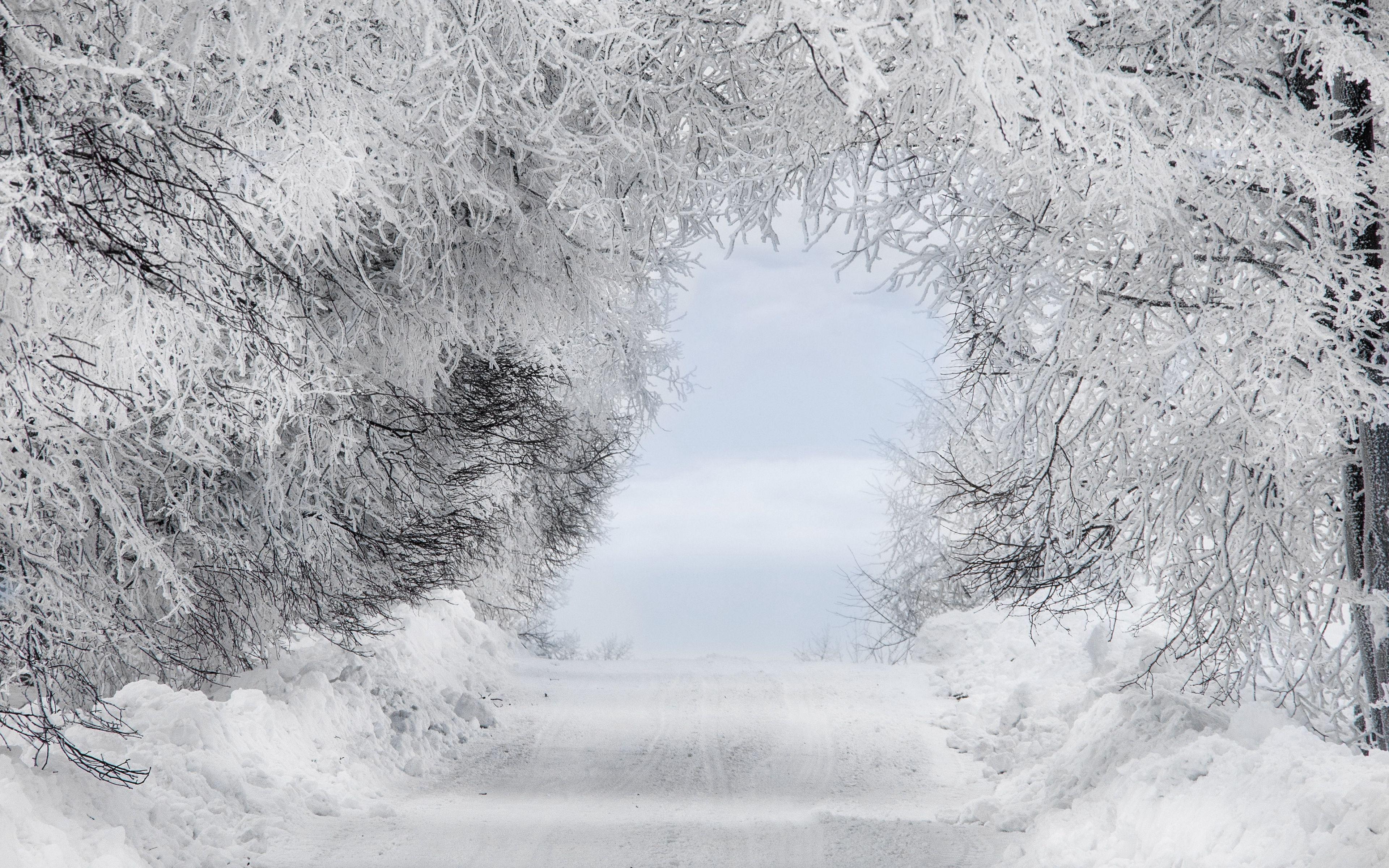 3840x2400 Download wallpaper 3840x2400 winter, snow, forest, road