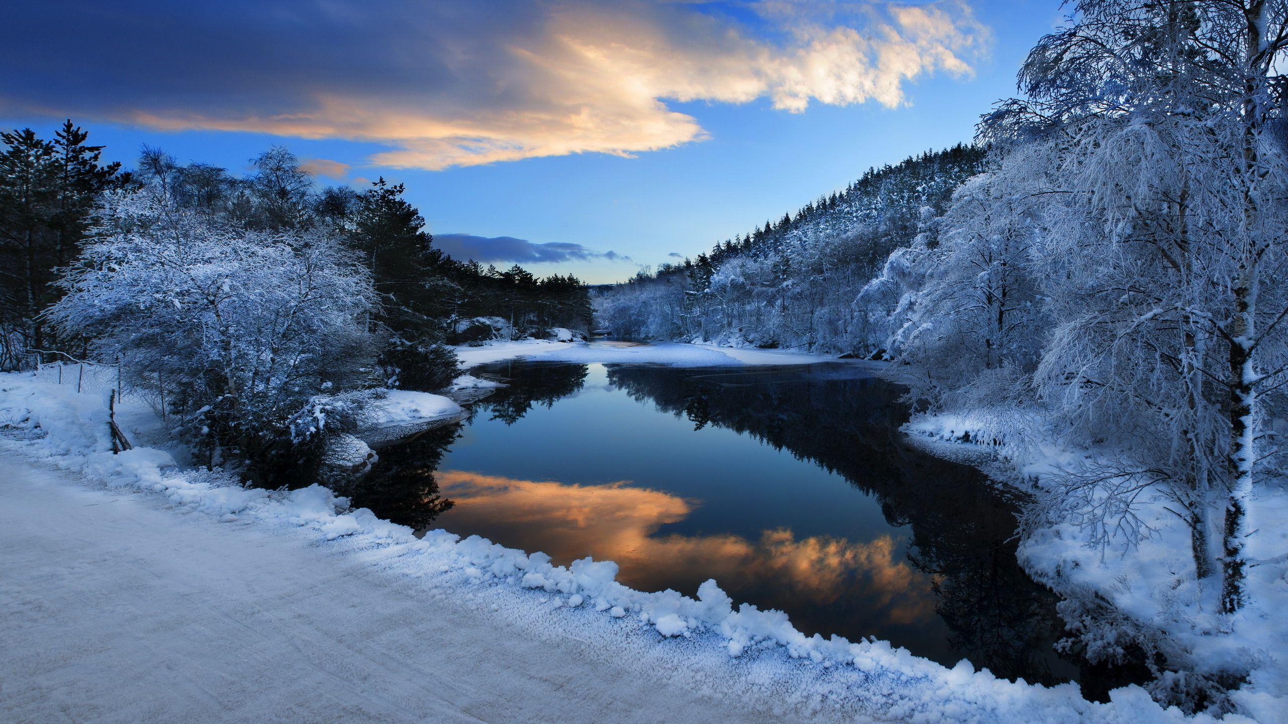 2560x1440 nature, Landscapes, Winter, Snow, Rivers, Trees, Forest