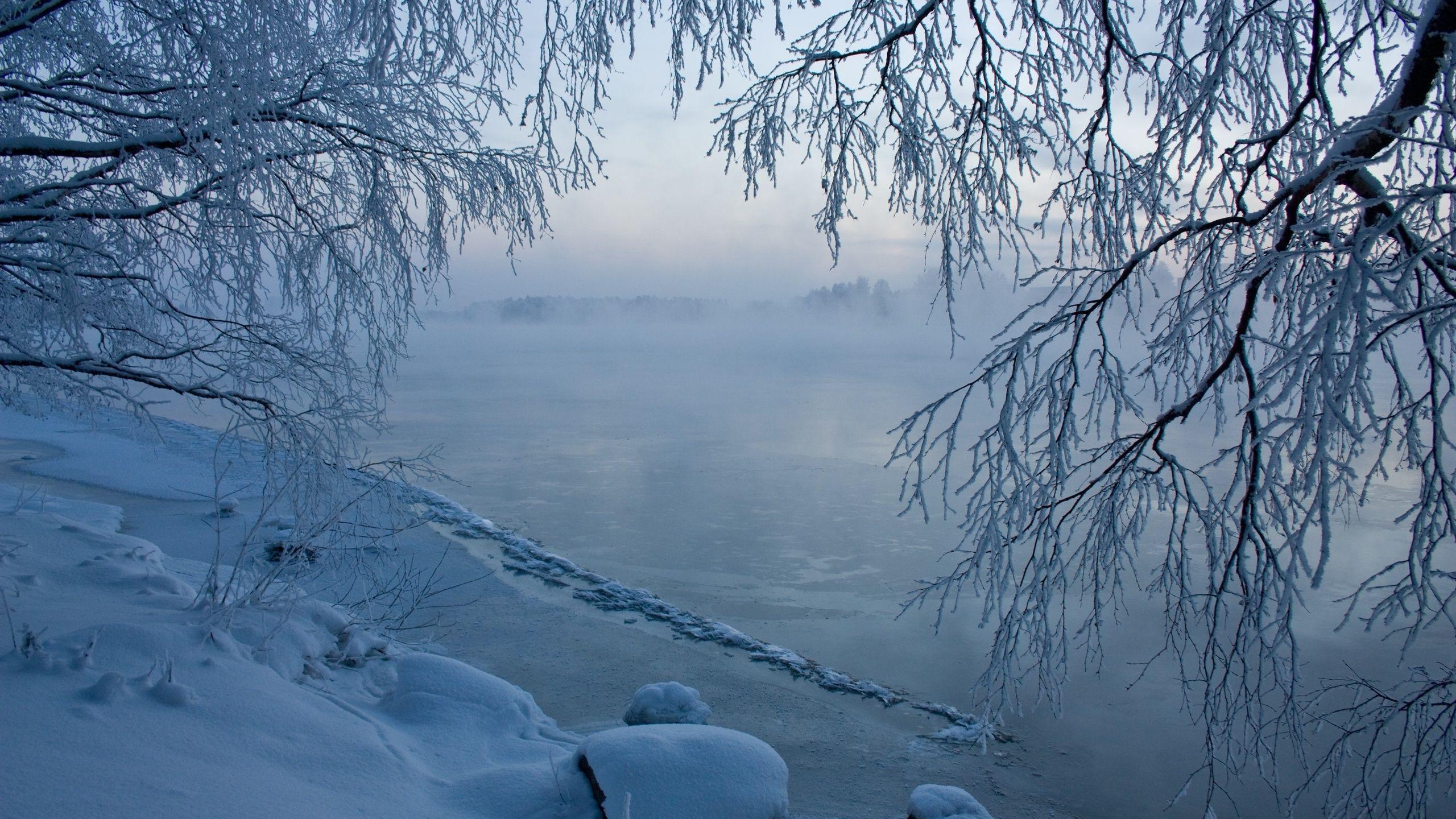 2560x1440 Wallpaper Ice Nature Winter river Branches 2560x1440