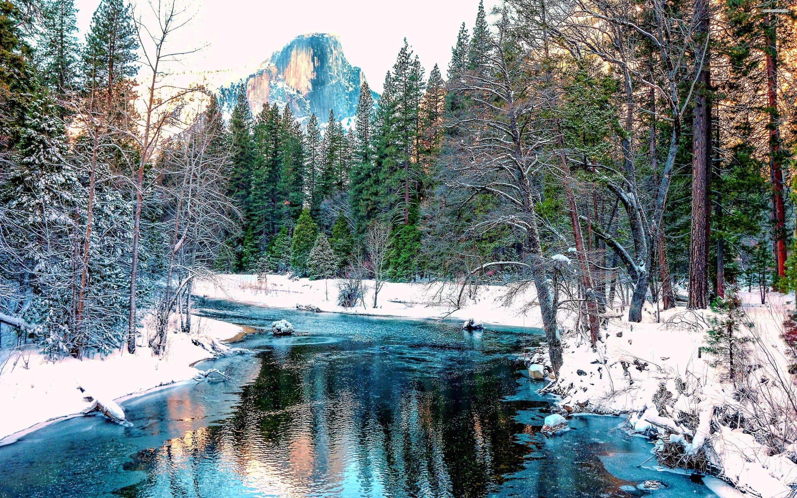 2560x1600 River in winter forest Wallpaper