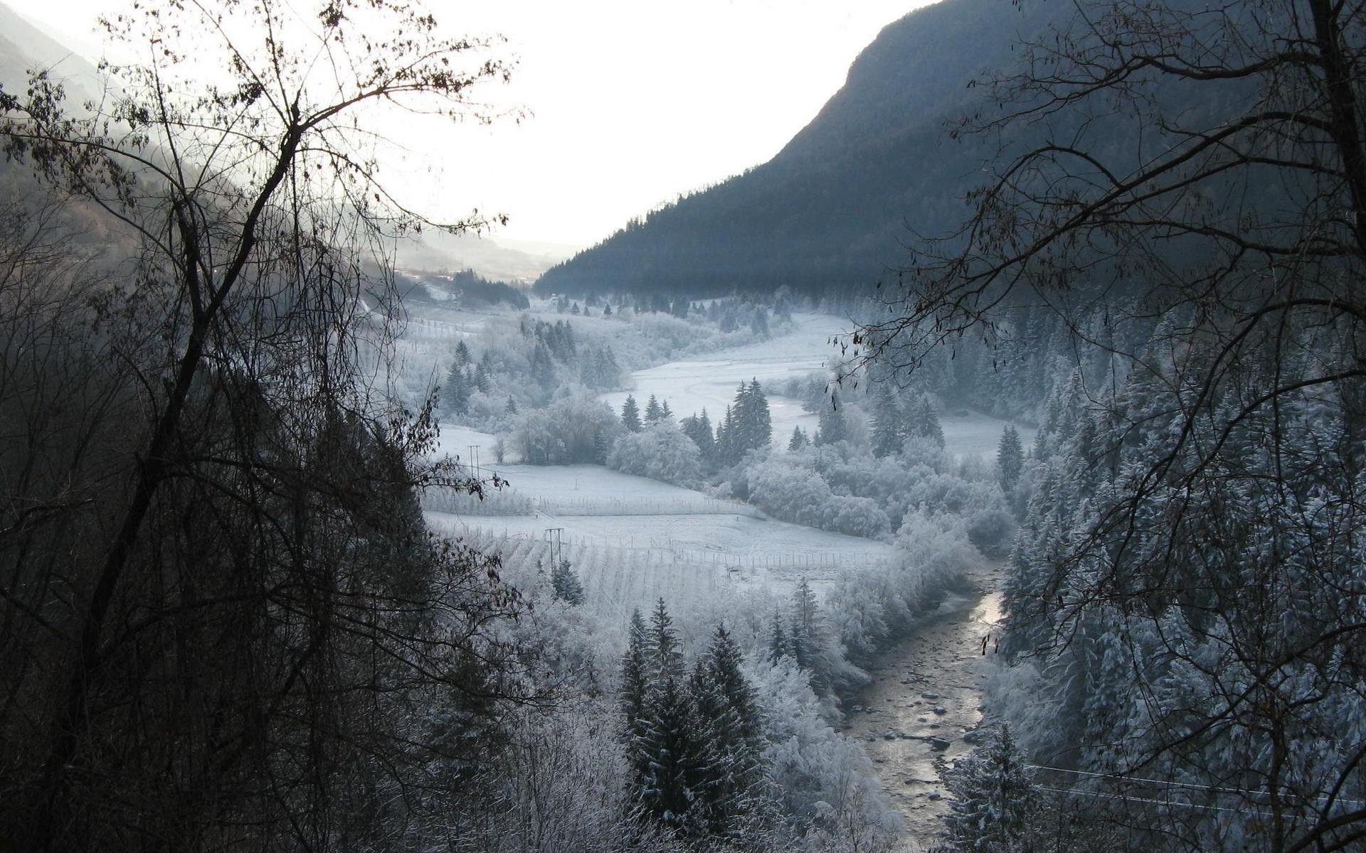 1920x1200 nature, Landscape, Winter, River, Valley, Mountain, Snow, Forest, Field, Trees Wallpaper HD / Desktop and Mobile Background