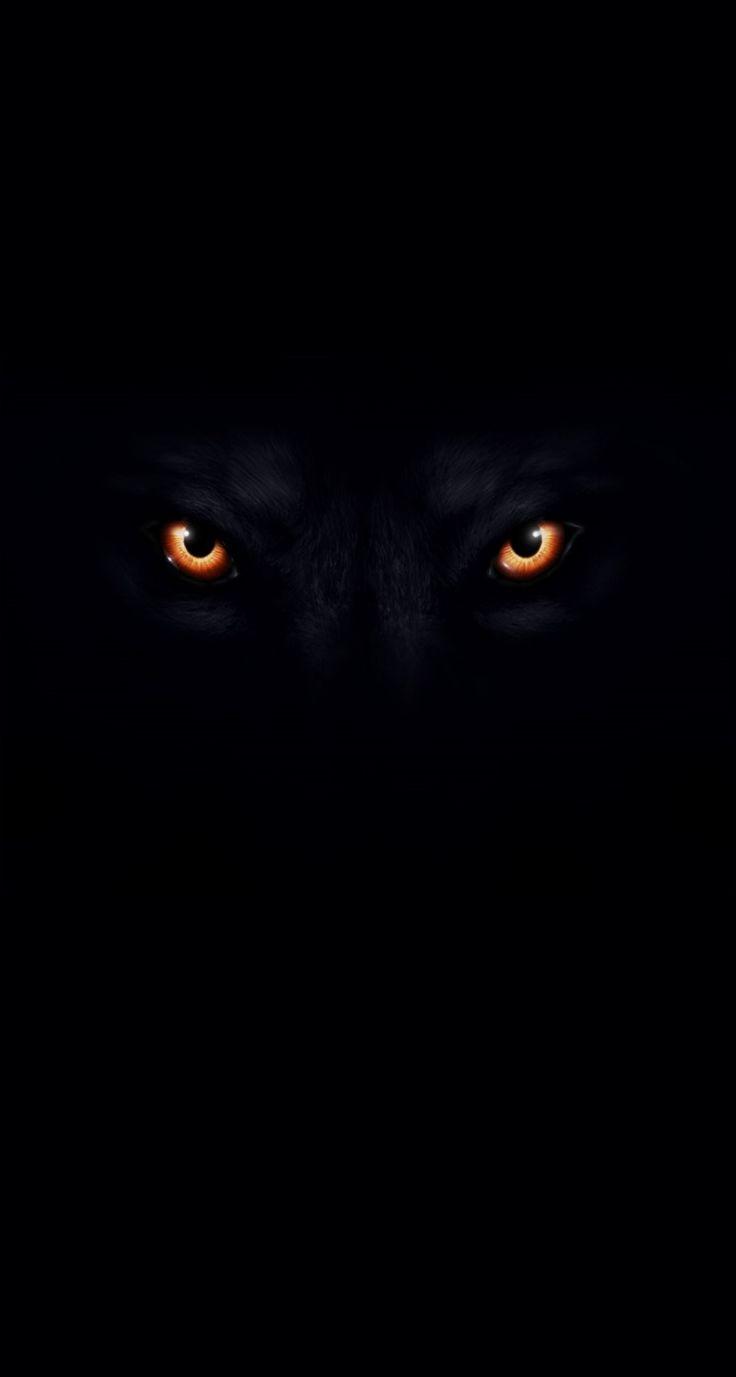 Hình nền đen 736x1377 cho iPhone 5S - BRAVES DESKTOP WALLPAPERS