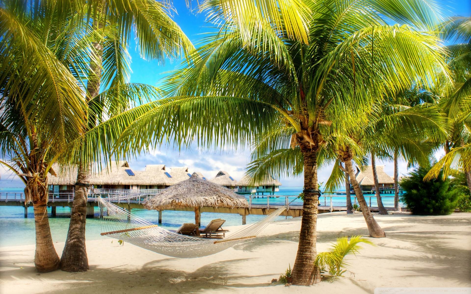1920x1200 Tropical Beach Resort HD desktop wallpaper : High Definition