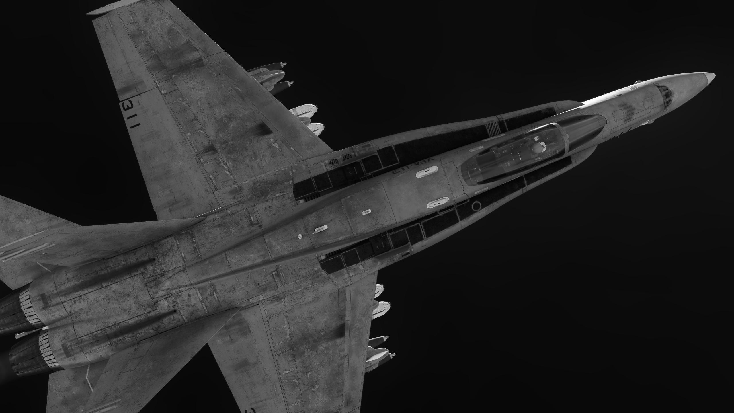 2560x1440 DCS Hornet Wallpaper [B W] [Dark] [1440p]