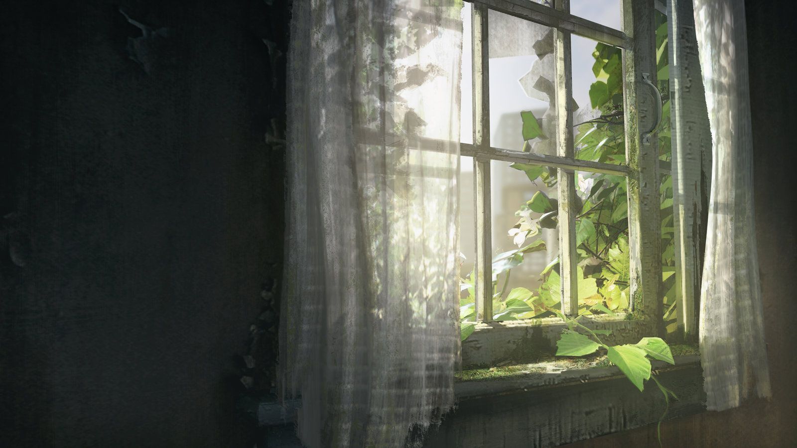 1600x900 John Sweeney. Windows wallpaper