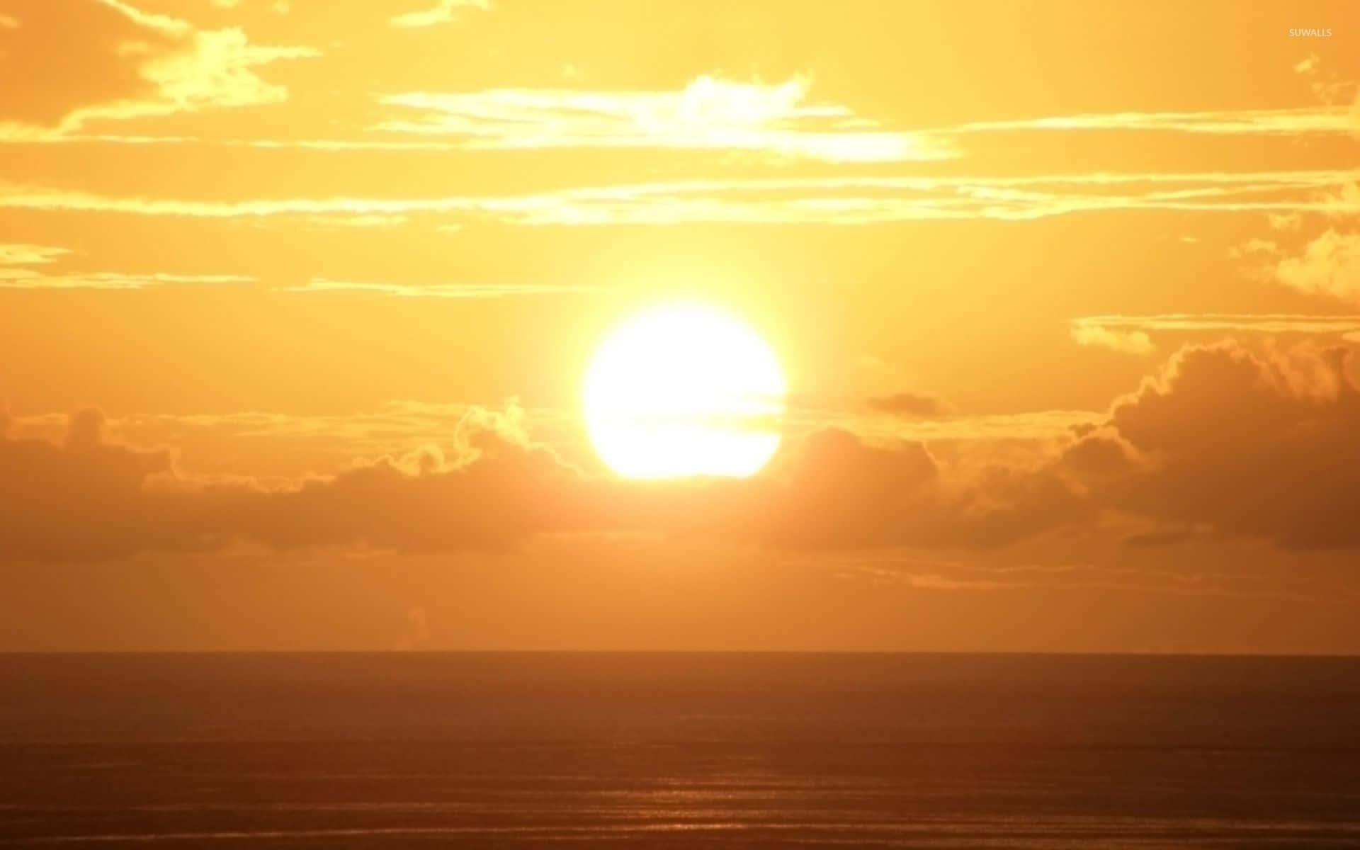 1920x1200 Yellow Sunset Wallpaper
