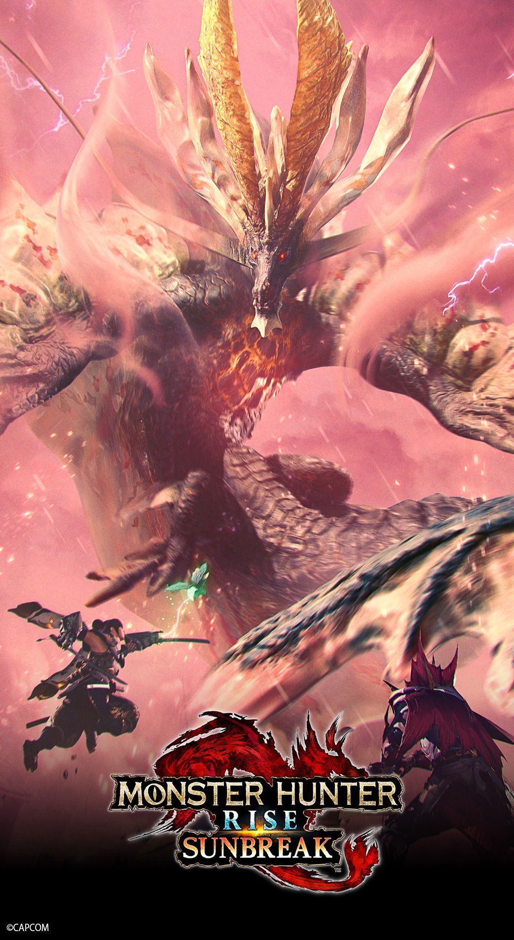 1040x1900 Monster Hunter Asia