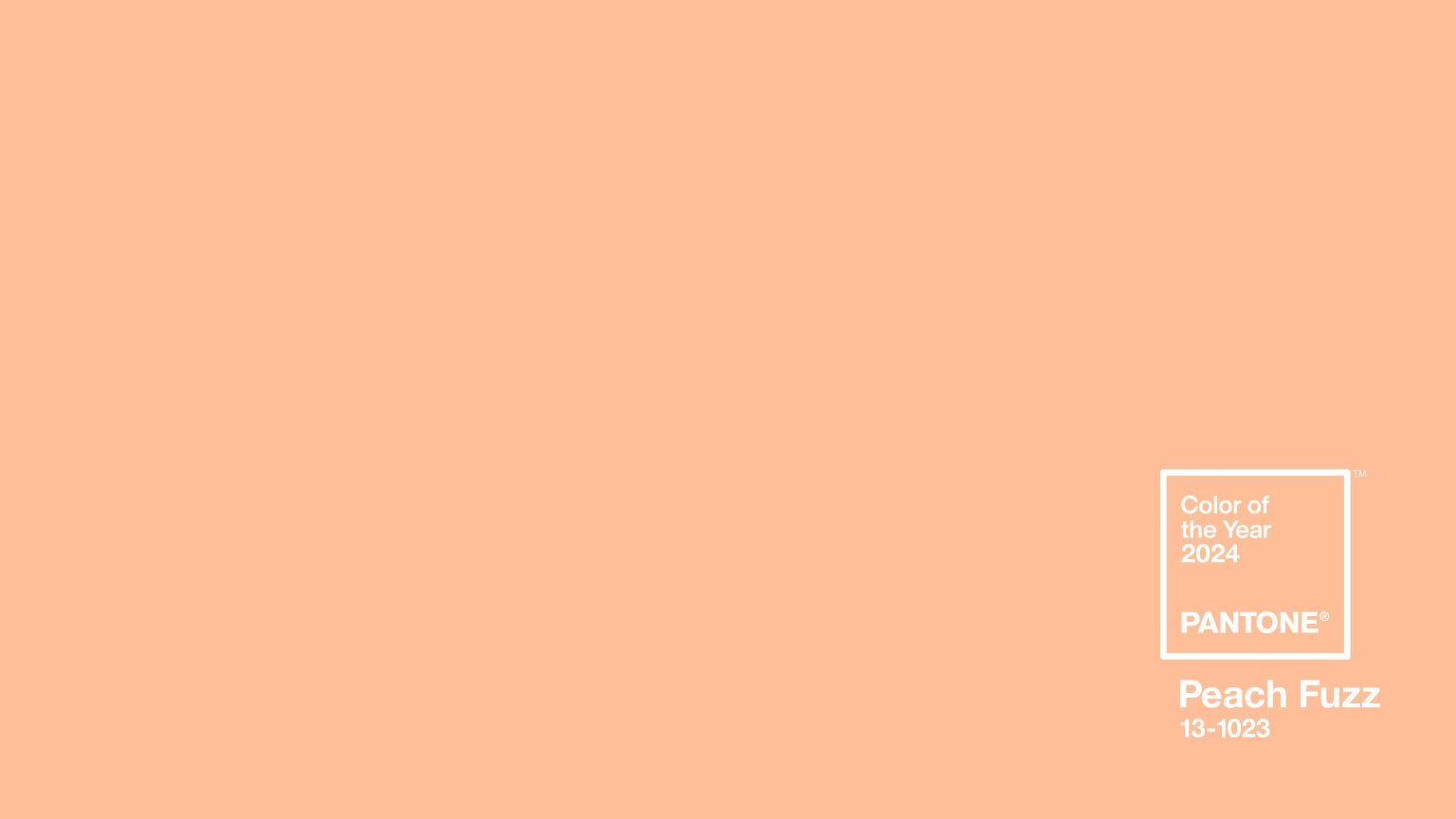 1536x864 Pantone Color of the Year 2024 Wallpaper