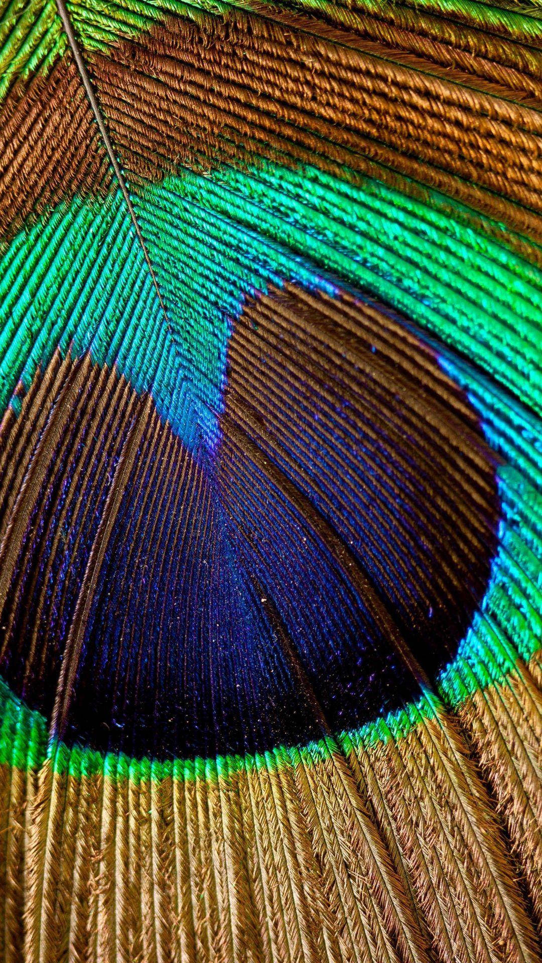1080x1920 Peacock Colorful Feather 8K Wallpaper