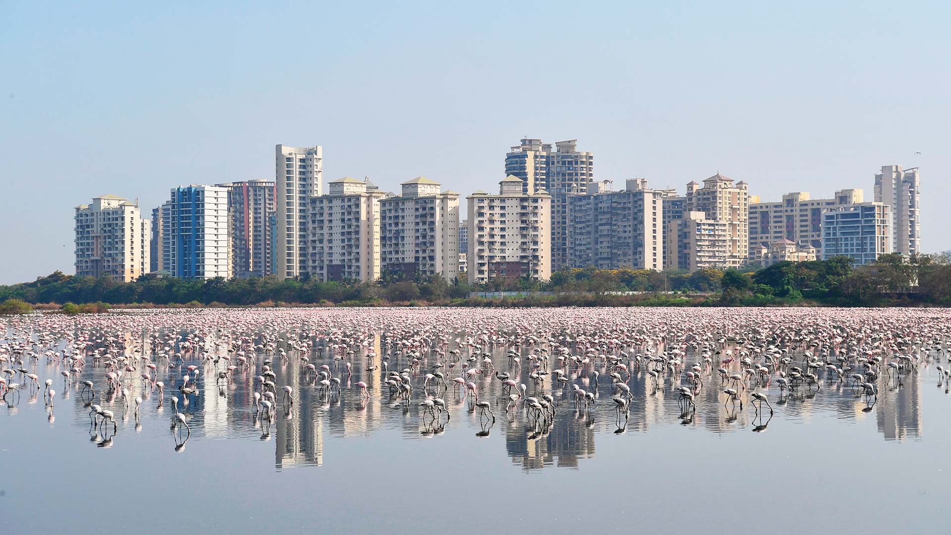 1920x1080 dirtiest cities in India in 2020