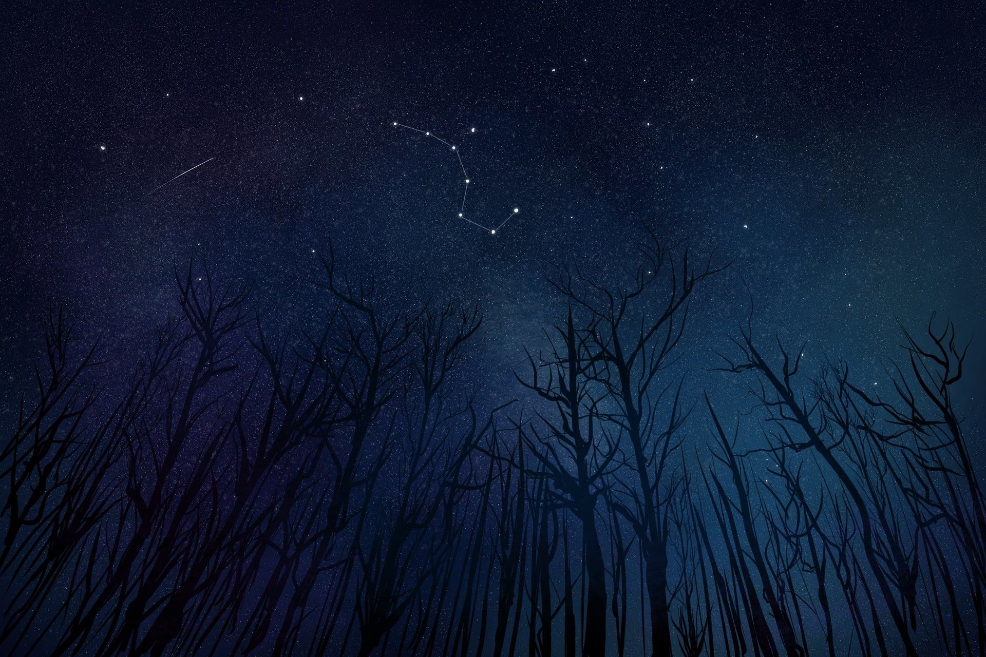 1920x1280 Mohamed Chahin