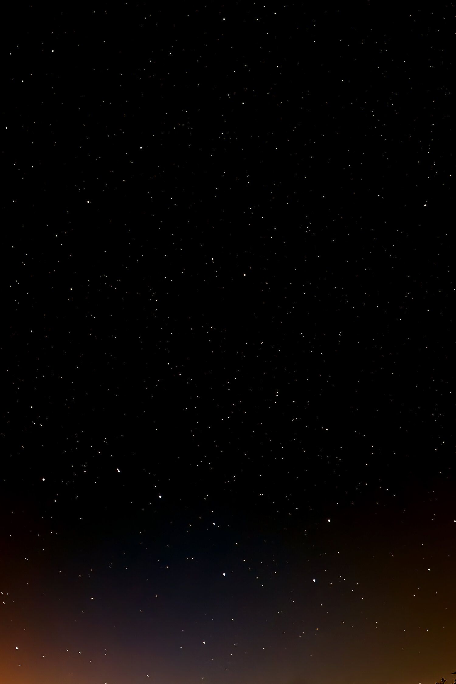 1500x2251 Blog