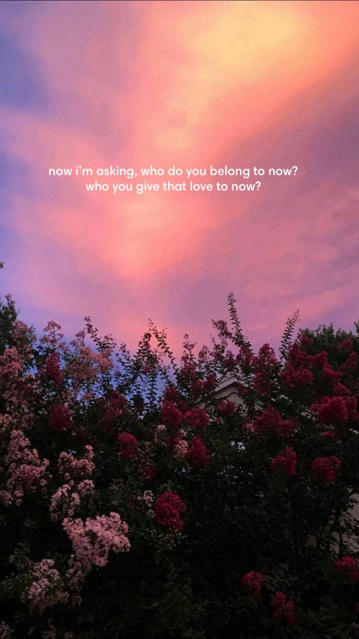 720x1280 Download The Weeknd Wasted Times Lyrics Wallpaper