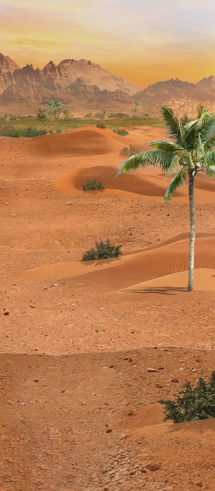 Desert Rose Wallpapers - Top Free Desert Rose Backgrounds - WallpaperAccess