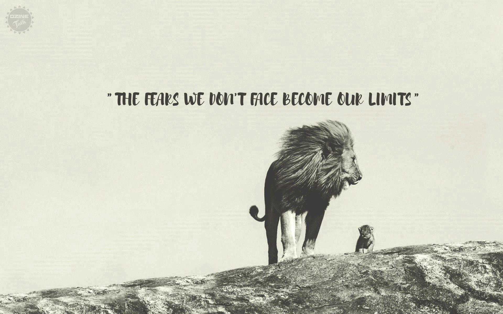 1920x1200 black white lion cubs bull bulls rock colorful