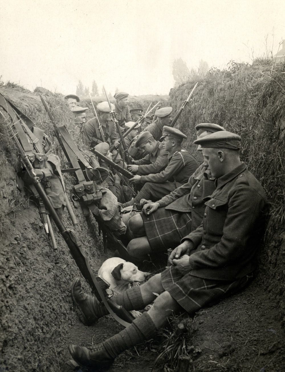 1000x1306 First World War Picture. Download
