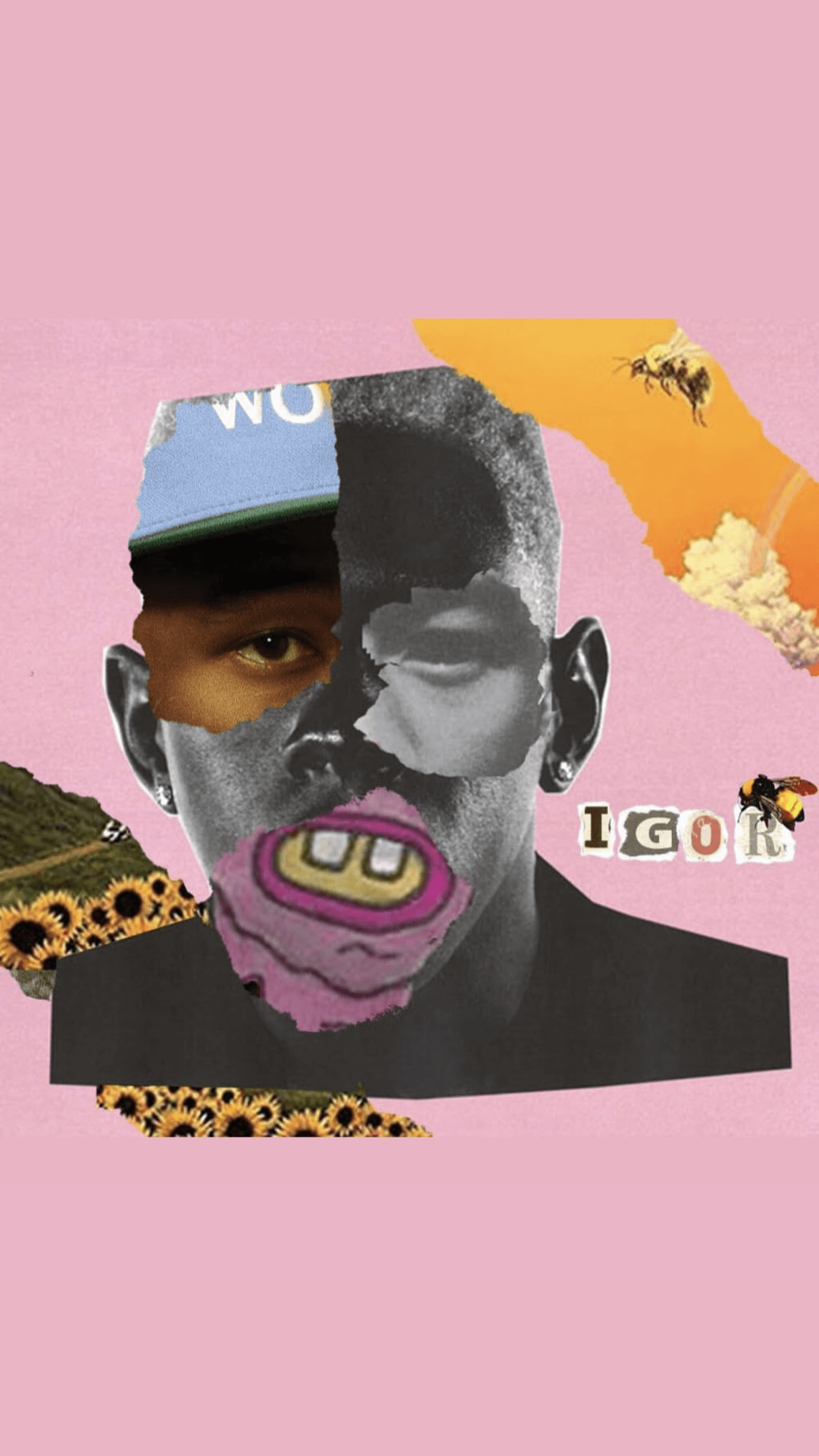 1242x2208 Tyler The Creator Aesthetic Wallpaper