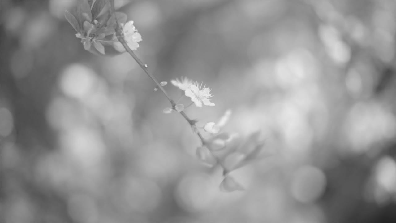 1280x720 A Tutorial to Histogram Equalization