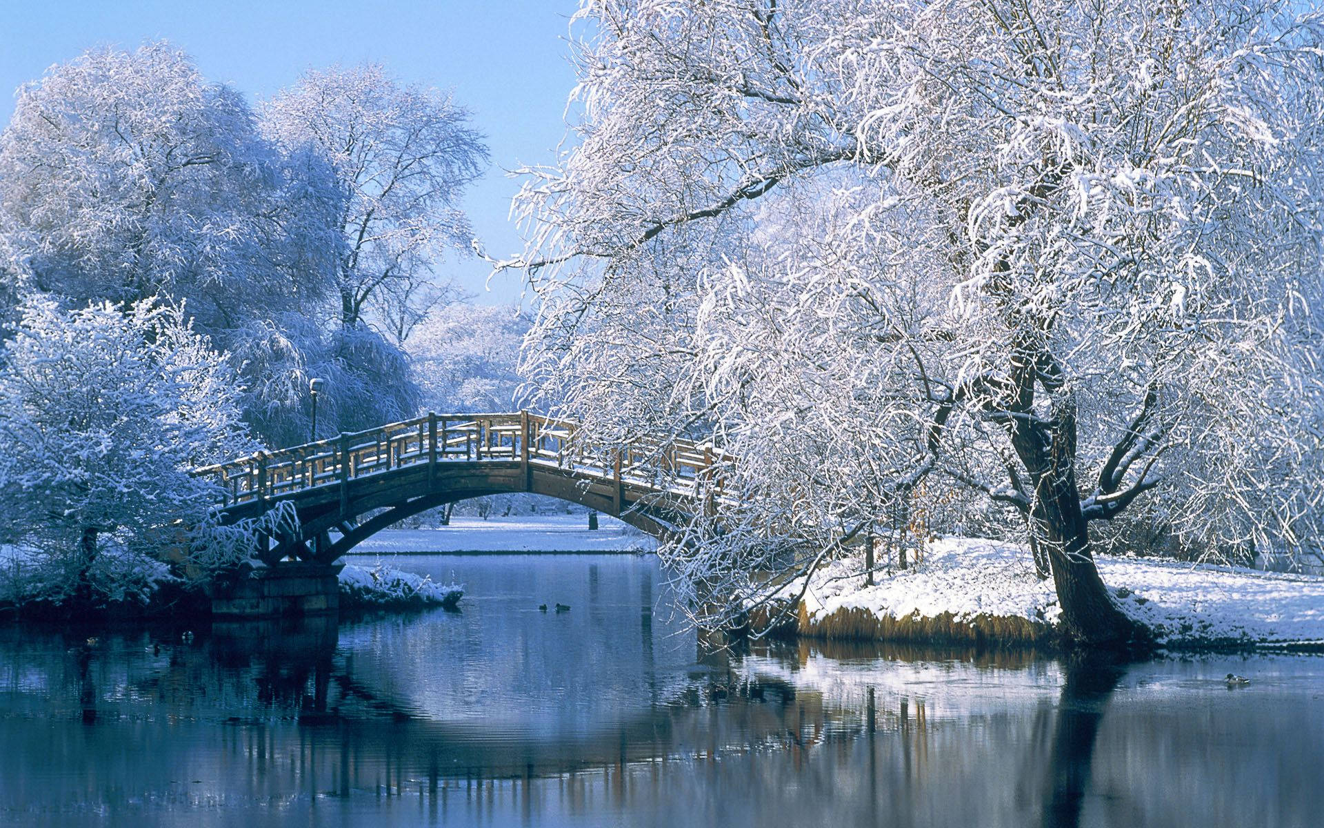 1920x1200 Winter Wallpaper