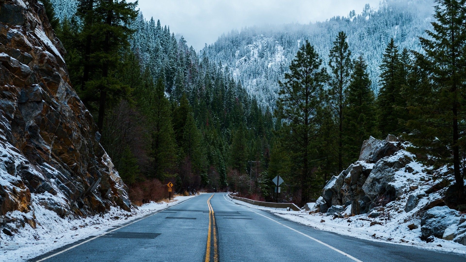 1920x1080 Forest, road, snow, winter. picture