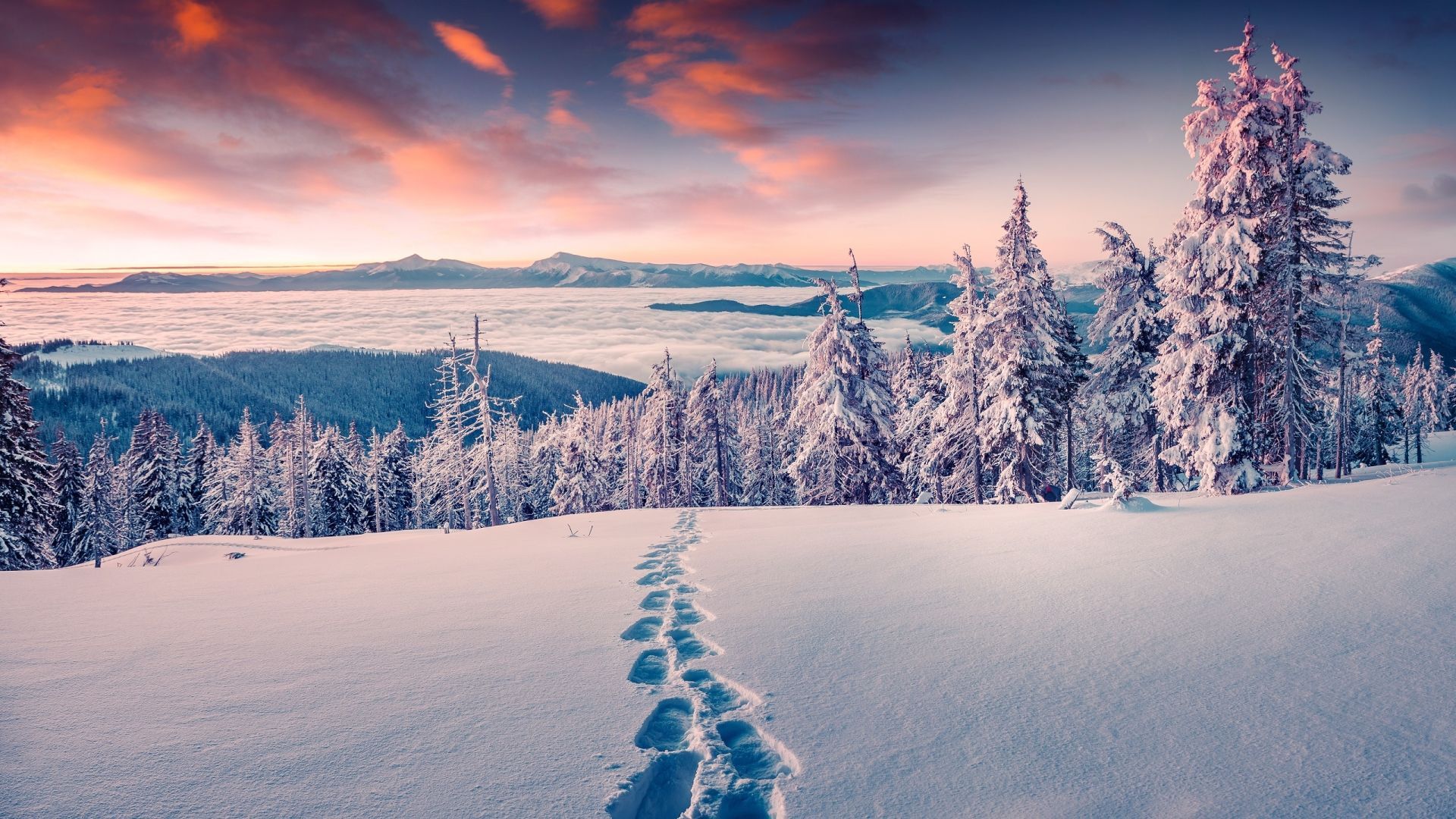 1920x1080 Winter 4k Wallpaper Ultra 4k